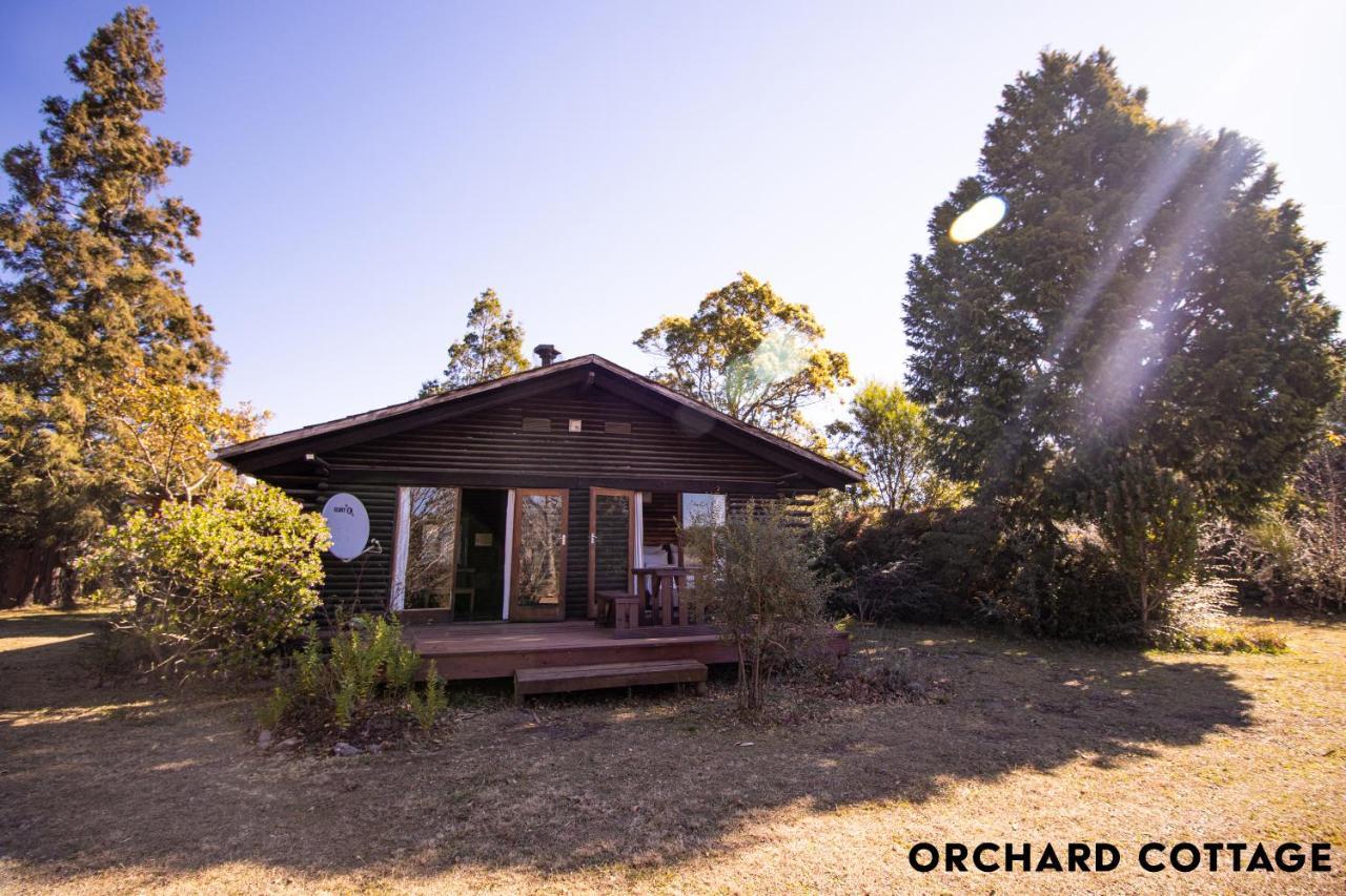 Jaya'S Place Hogsback Esterno foto